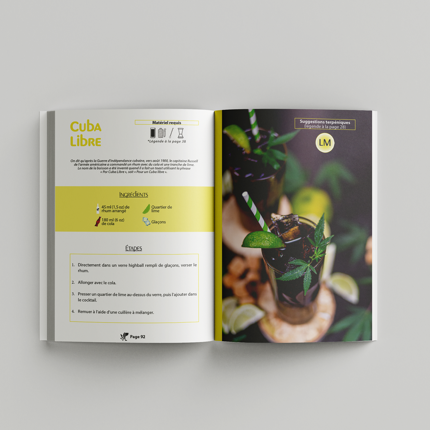 Image du livre CanDrinks : Cocktails & Cannabis par CanEmpire & Alex Vallieres. Ce livre de recettes de cocktails & de mocktails infusés au cannabis présente un guide sécuritaire autant pour les débutants que pour les plus expérimentés.