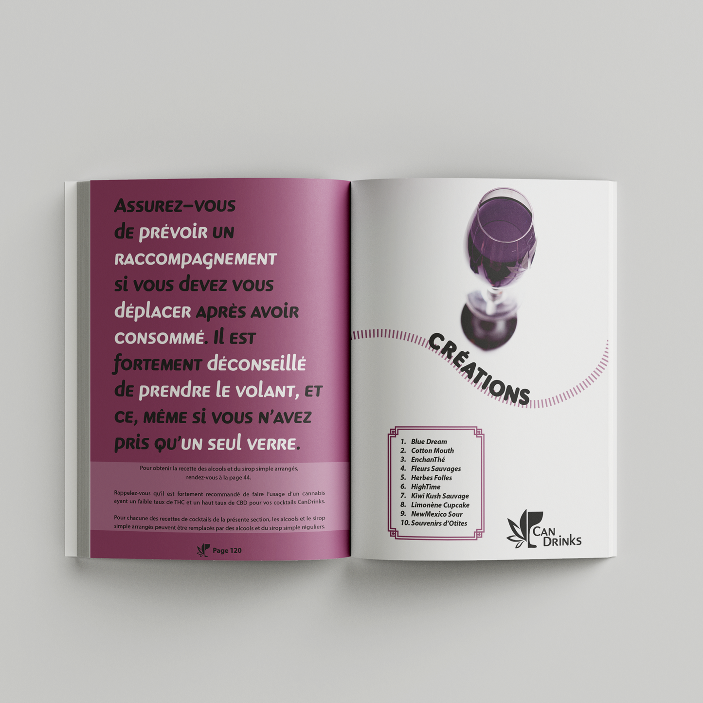 Image du livre CanDrinks : Cocktails & Cannabis par CanEmpire & Alex Vallieres. Ce livre de recettes de cocktails & de mocktails infusés au cannabis présente un guide sécuritaire autant pour les débutants que pour les plus expérimentés.